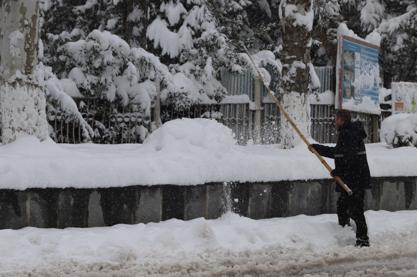 Georgian Government mobilises defense forces for heavy snowfall relief