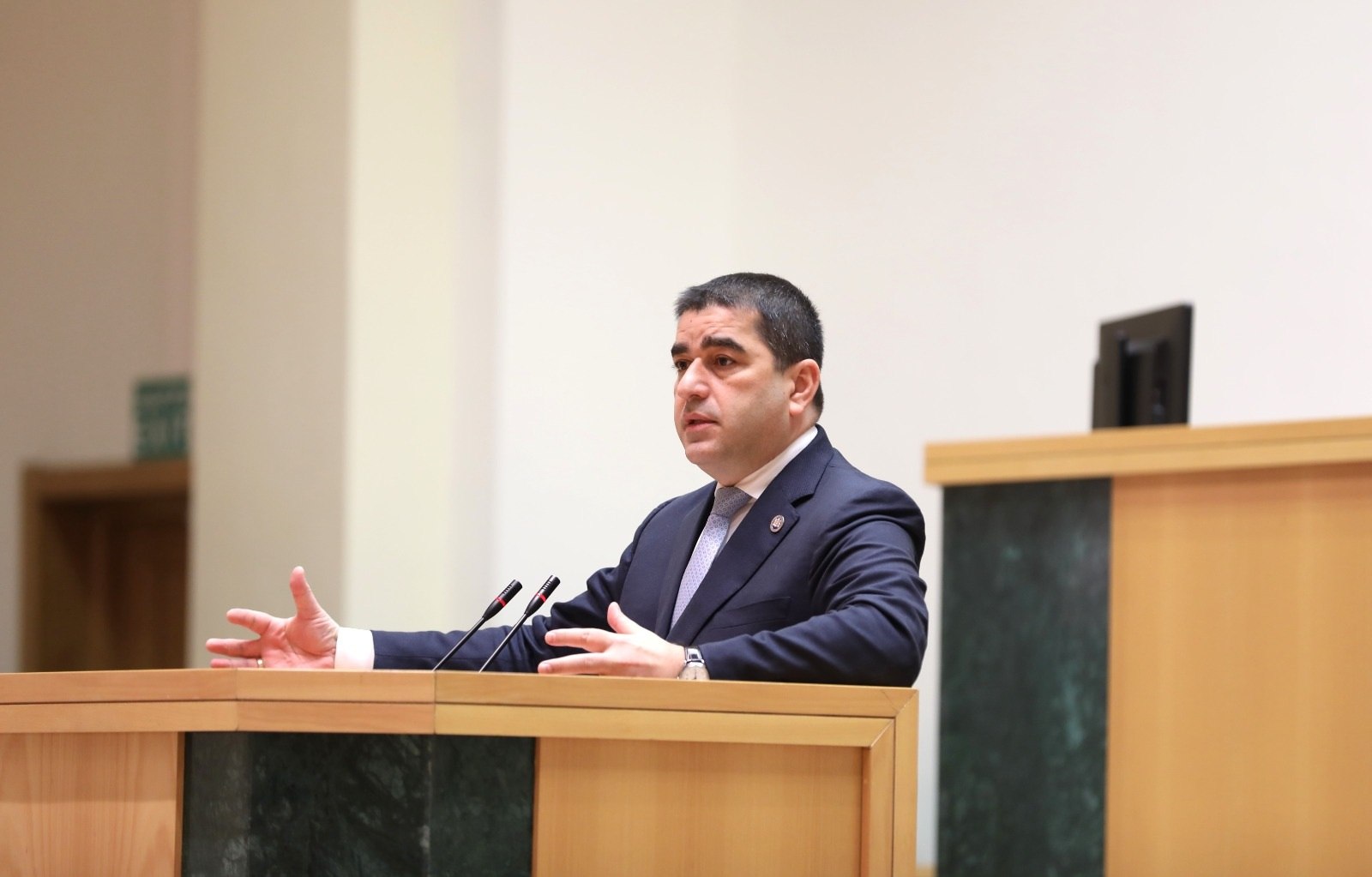 Georgian Parliament Speaker calls for diplomatic condemnation after “pyrotechnic attack”