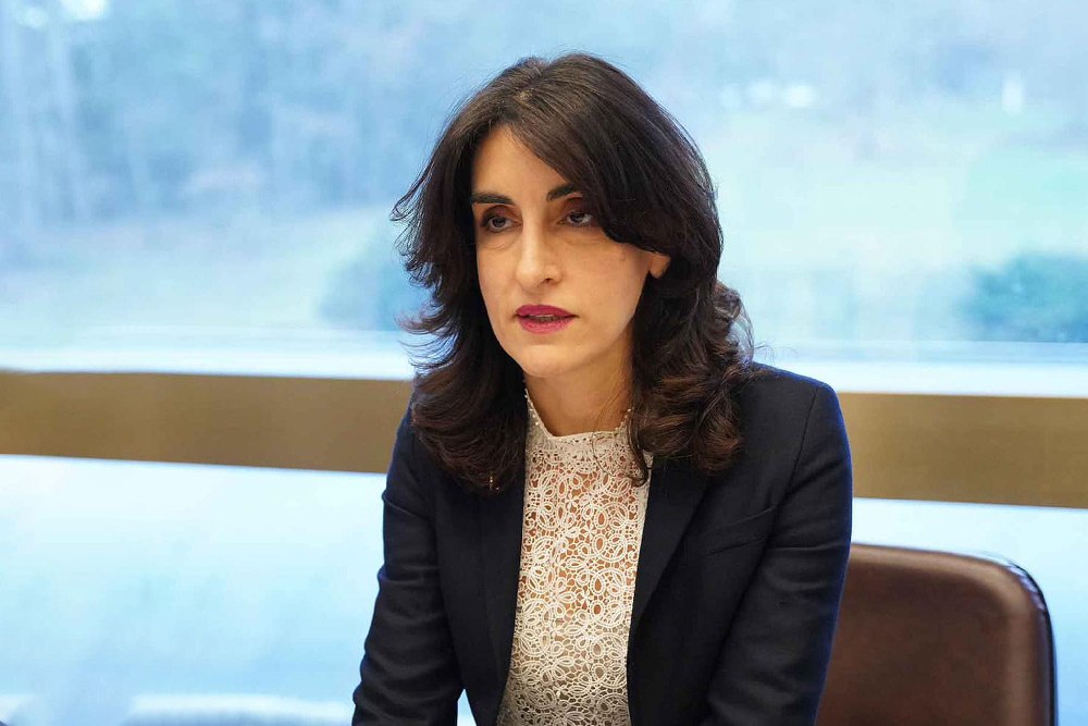 Georgian Foreign Minister visits Hungary for high-level talks