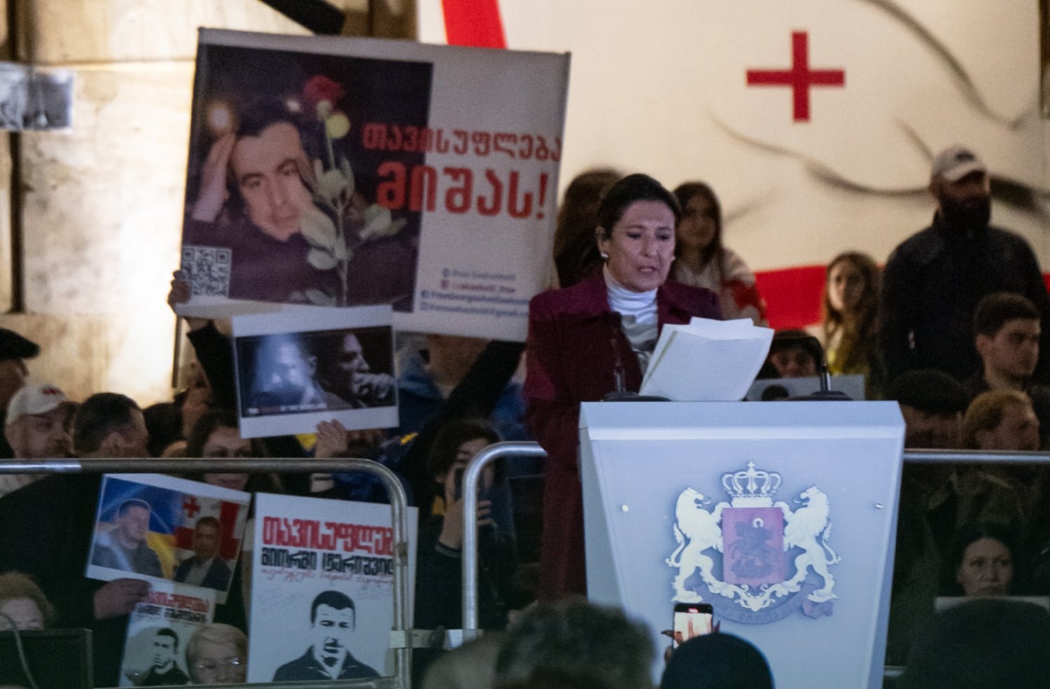 Salome Zourabichvili: ‘Alongside street protests, pro-European resistance platform must be established
