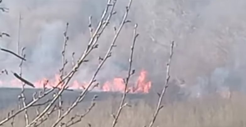 Wildfire rages in Tsalenjikha, threatens residential areas